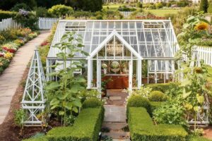 Garden Glass Greenhouse Ysgh 196